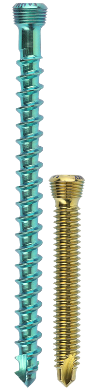 Bone Screw