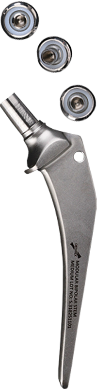 Hip Prosthesis